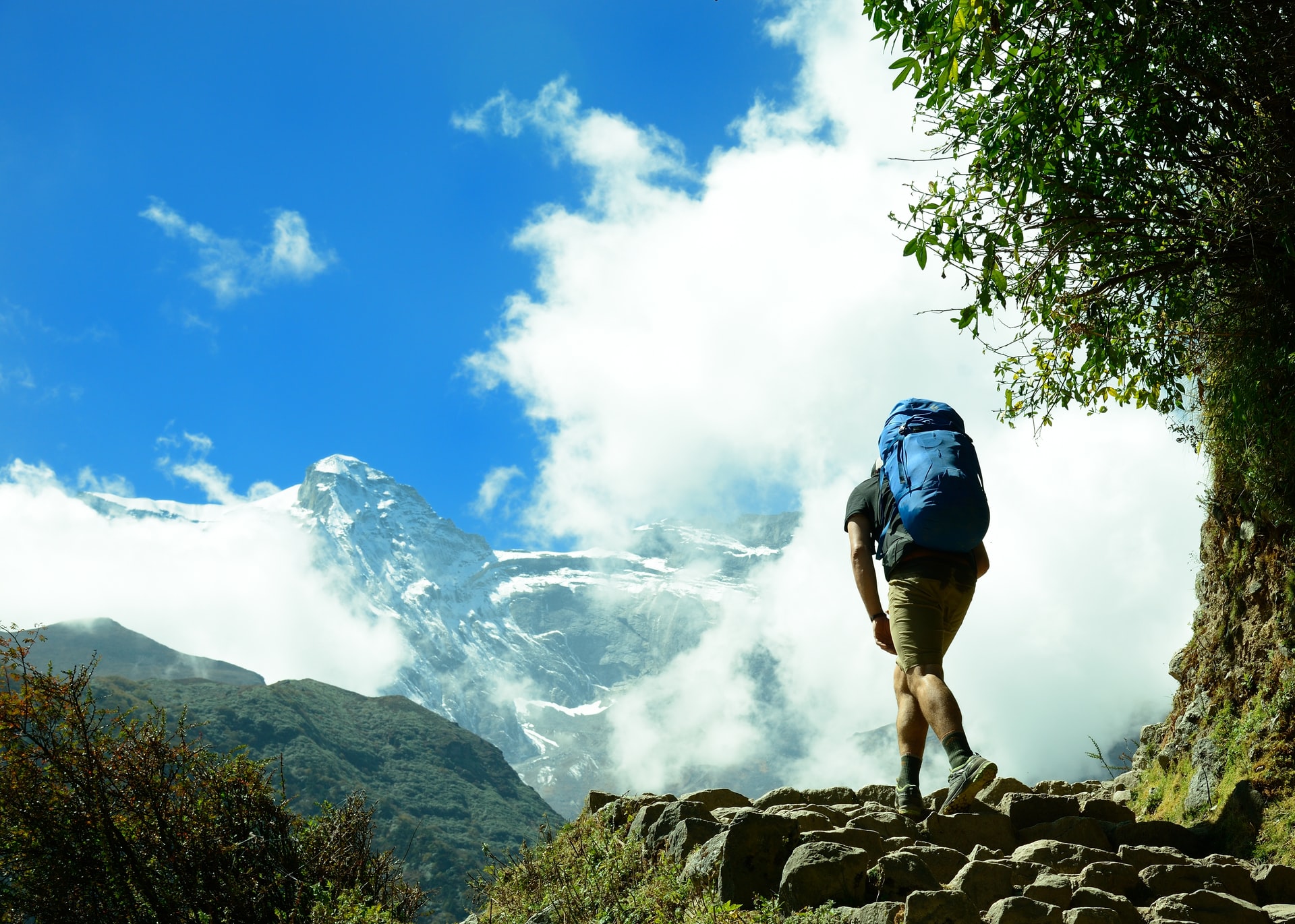 Best Daypacks For Hiking 2022 Buyer's Guide