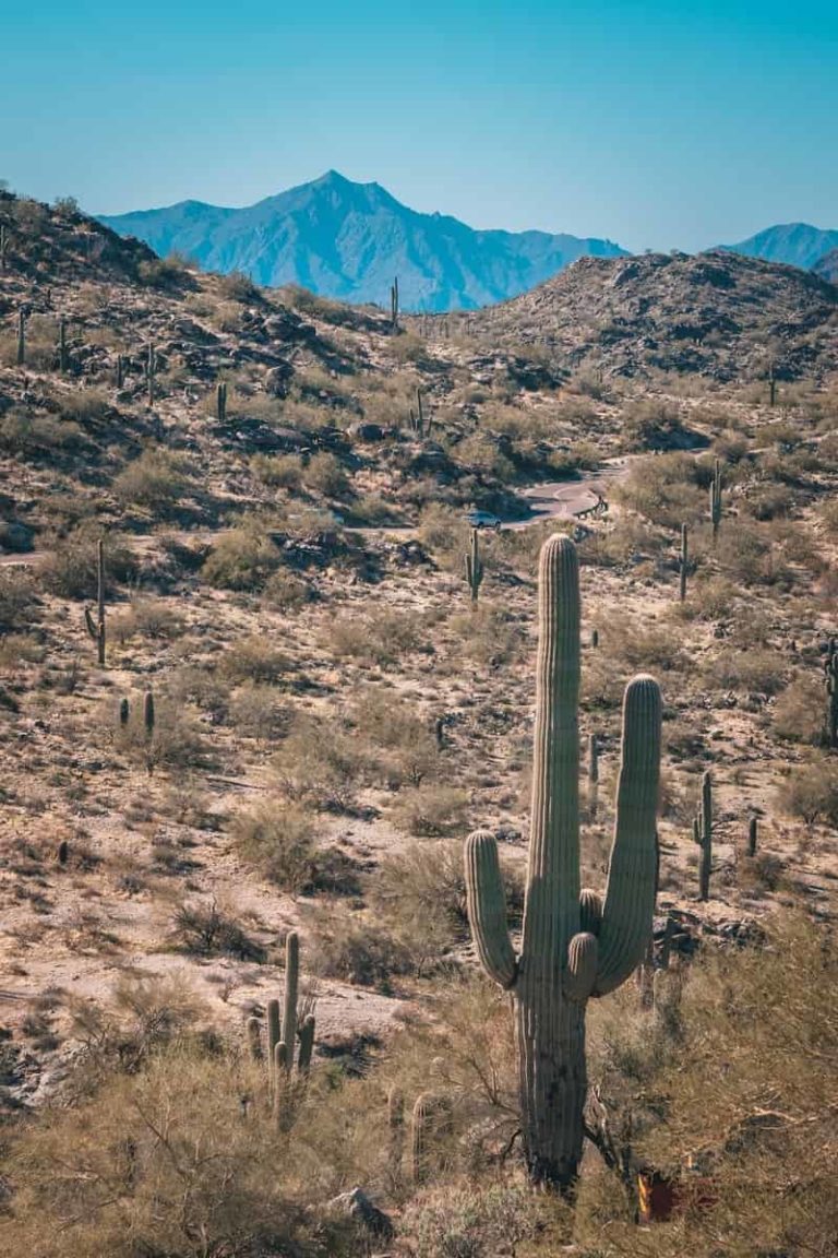 15 Best Hikes Near Scottsdale, Arizona: Trailplace