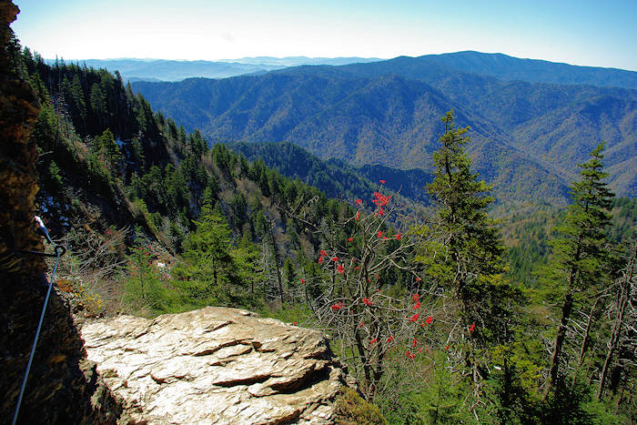 Alum Cave Trail to Mount LeConte smoky mountains