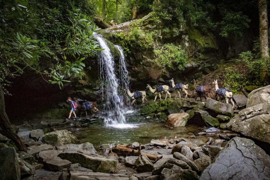 Grotto Falls Trail hike
