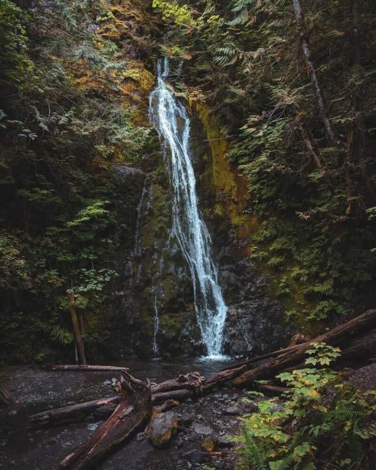 12 Best Hikes in Olympic National Park - Trailplace