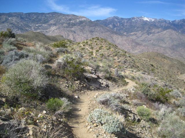 Hahn Buena Vista Loop Trail