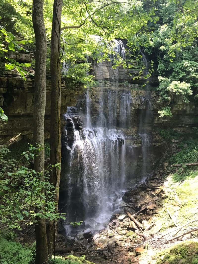 9 Best Hikes Near Nashville, Tennessee Trailplace