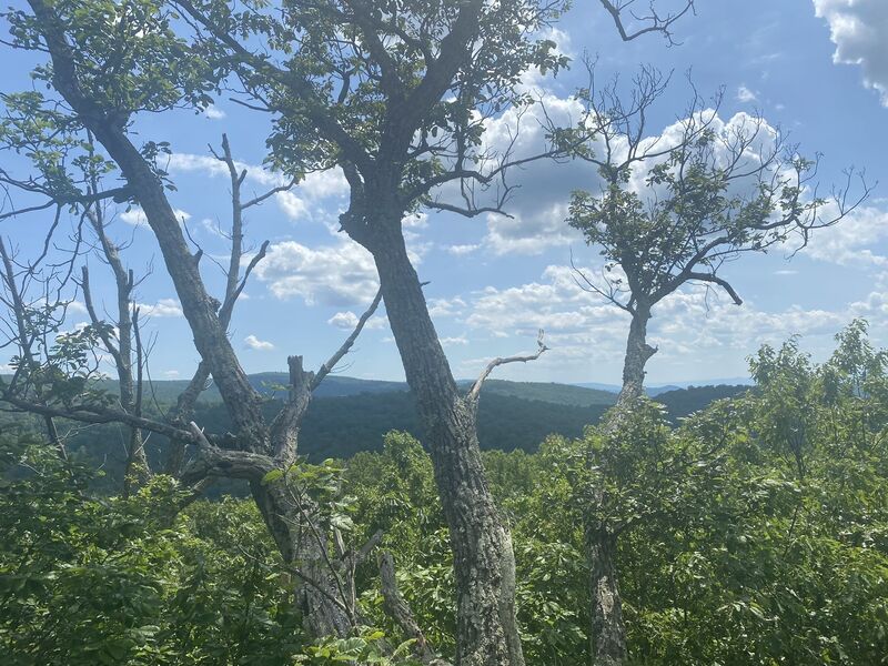 Bear’s Den to Buzzard Hill via the Appalachian Trail