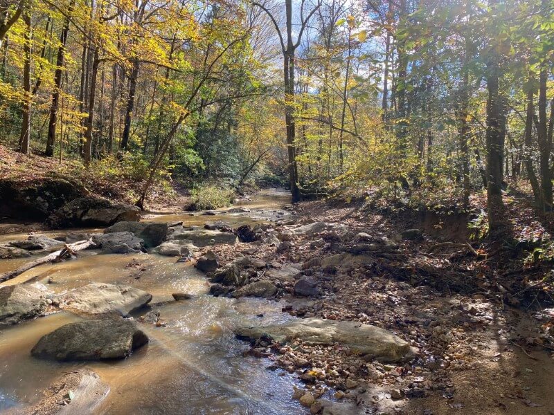Horne Creek Trail