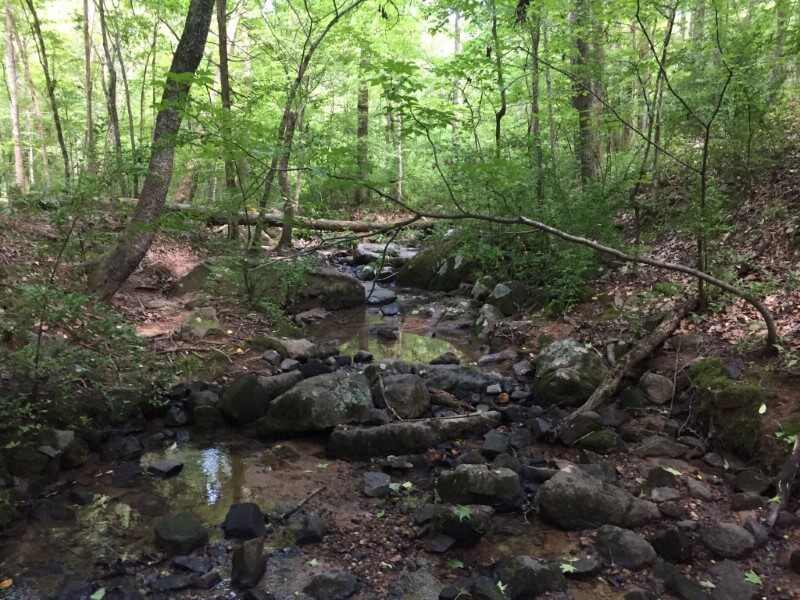 Pine Hollow Trail, Four Seasons Trail, and Creekside Trail Loop
