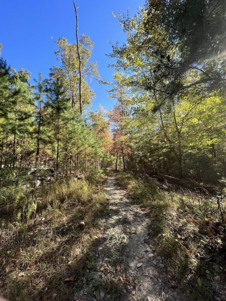 Morrow Mountain Trail